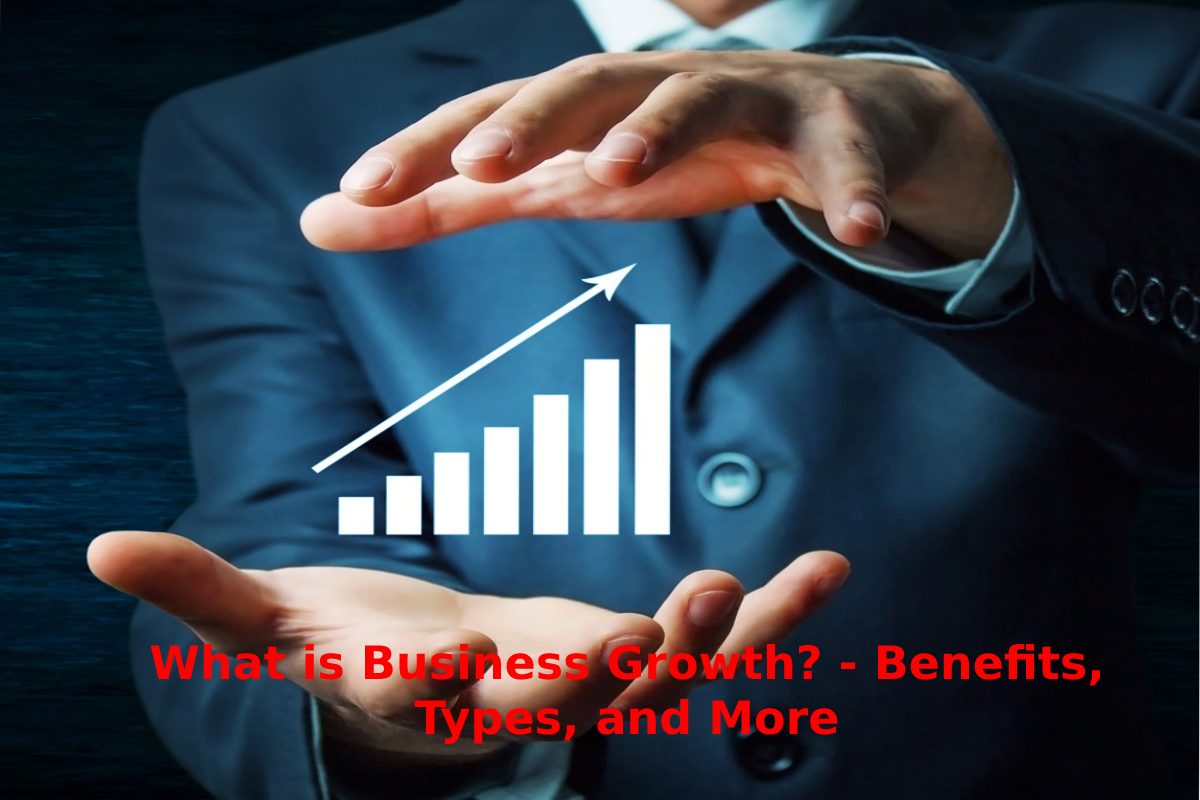 What Is Business Growth Benefits Types And More