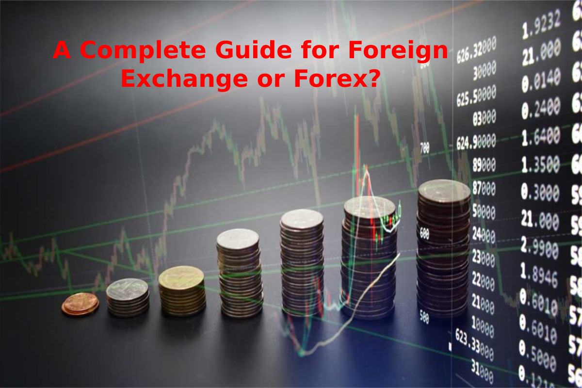 How Can You Exchange Foreign Currency